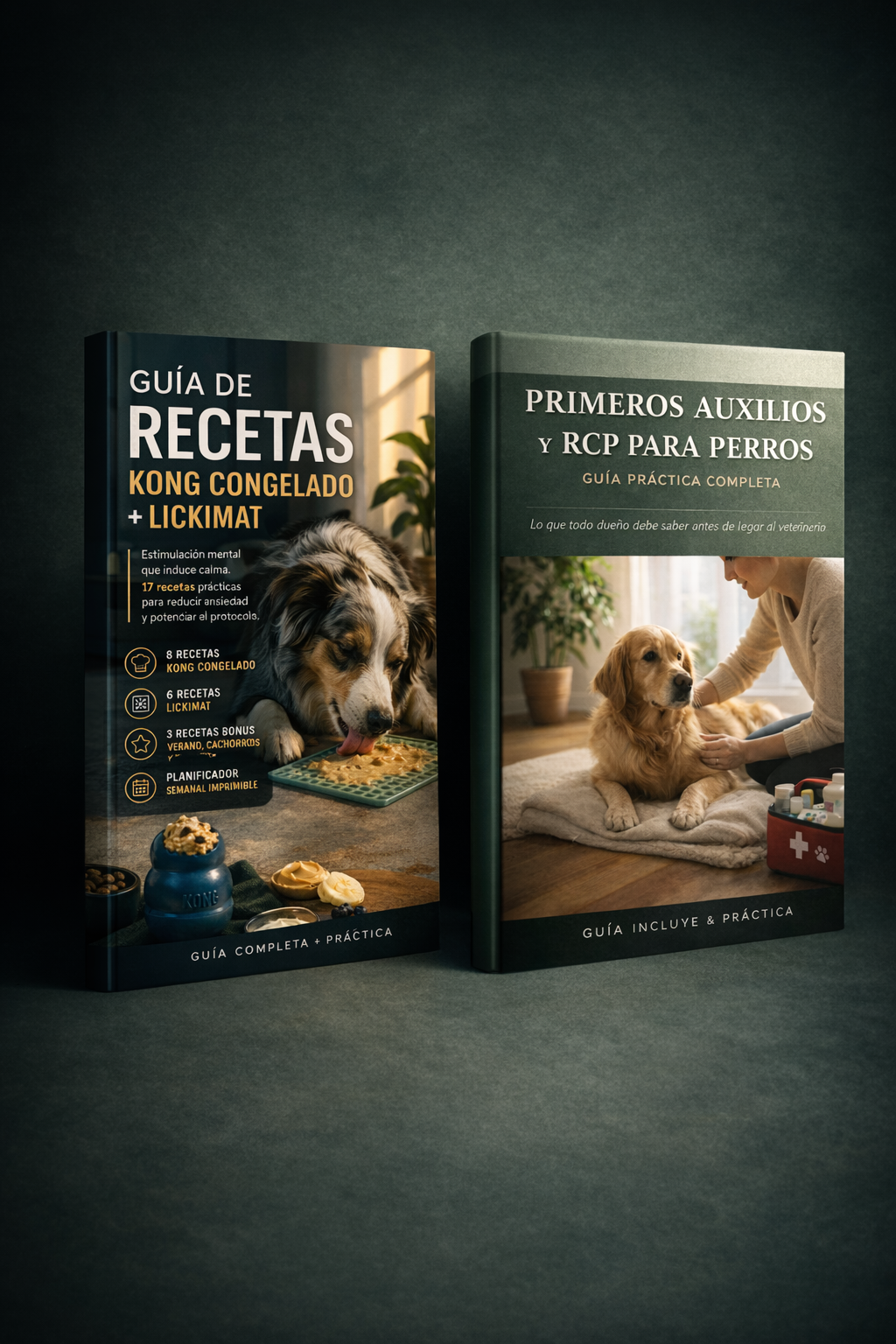 Primeros Auxilios + Kongs Congelados